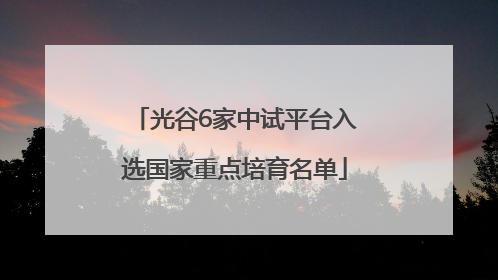 光谷6家中试平台入选国家重点培育名单