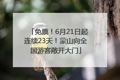免票！6月21日起连续23天！蒙山向全国游客敞开大门