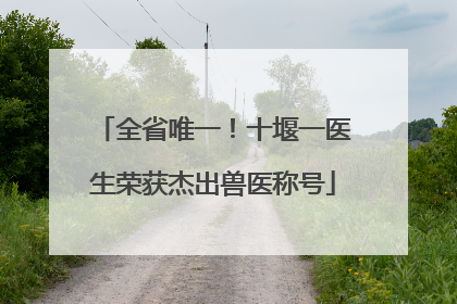 全省唯一！十堰一医生荣获杰出兽医称号