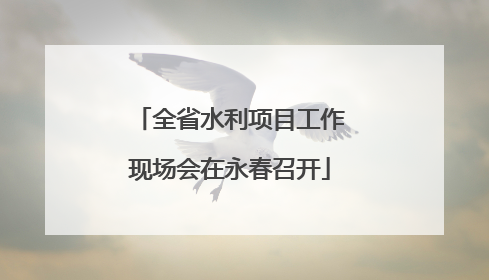 全省水利项目工作现场会在永春召开