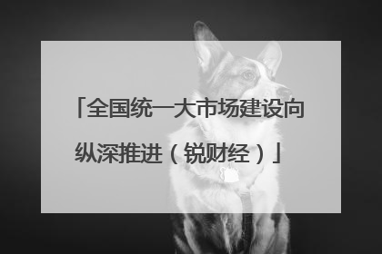 全国统一大市场建设向纵深推进（锐财经）