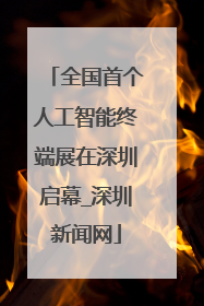 全国首个人工智能终端展在深圳启幕_深圳新闻网