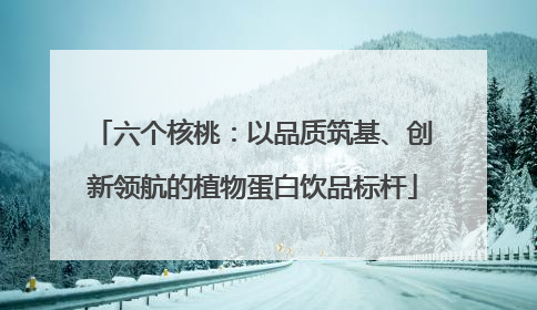 六个核桃：以品质筑基、创新领航的植物蛋白饮品标杆