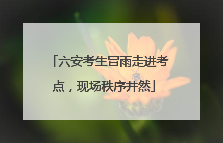 六安考生冒雨走进考点，现场秩序井然