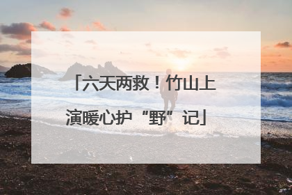 六天两救！竹山上演暖心护“野”记