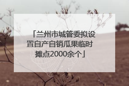 兰州市城管委拟设置自产自销瓜果临时摊点2000余个