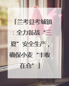 兰考县考城镇：全力备战“三夏”安全生产，确保小麦“丰收在仓”