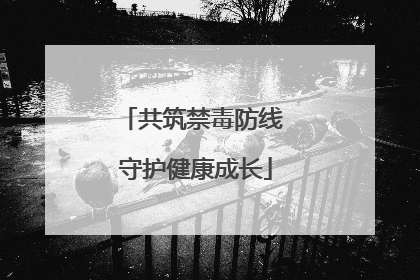共筑禁毒防线 守护健康成长