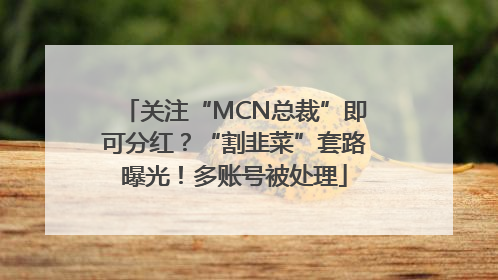 关注“MCN总裁”即可分红？“割韭菜”套路曝光！多账号被处理
