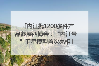 内江携1200多件产品参展西博会：“内江号”卫星模型首次亮相