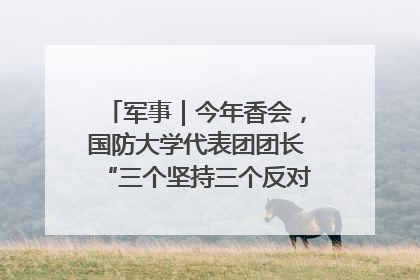 军事｜今年香会，国防大学代表团团长“三个坚持三个反对”说明了什么？
