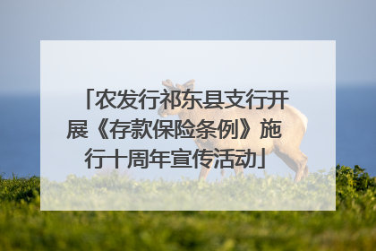 农发行祁东县支行开展《存款保险条例》施行十周年宣传活动