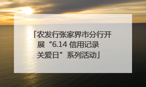 农发行张家界市分行开展“6.14 信用记录关爱日”系列活动