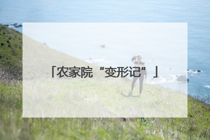 农家院“变形记”