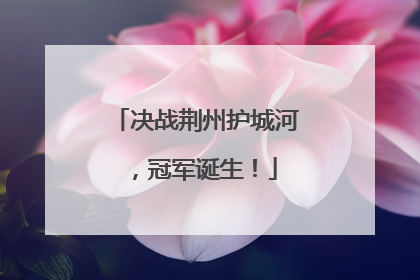 决战荆州护城河，冠军诞生！