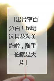 出片率百分百！昆明这片花海美炸啦，随手一拍就是大片