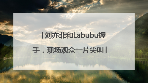刘亦菲和Labubu握手，现场观众一片尖叫