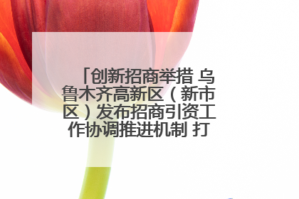 创新招商举措 乌鲁木齐高新区（新市区）发布招商引资工作协调推进机制 打造投资发展新高地
