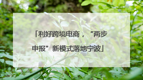 利好跨境电商，“两步申报”新模式落地宁波