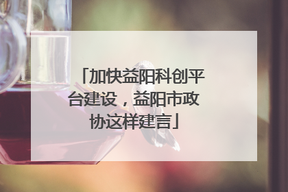 加快益阳科创平台建设，益阳市政协这样建言