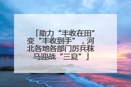助力“丰收在田”变“丰收到手”，河北各地各部门厉兵秣马迎战“三夏”