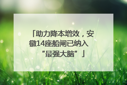 助力降本增效，安徽14座船闸已纳入“最强大脑”