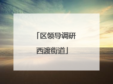 区领导调研西渡街道