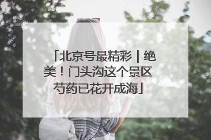 北京号最精彩｜绝美！门头沟这个景区芍药已花开成海