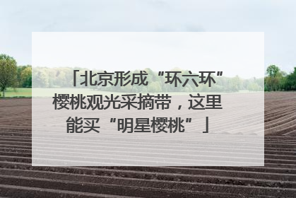 北京形成“环六环”樱桃观光采摘带，这里能买“明星樱桃”