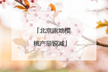 北京露地樱桃产量锐减