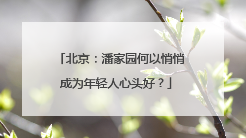 北京：潘家园何以悄悄成为年轻人心头好？