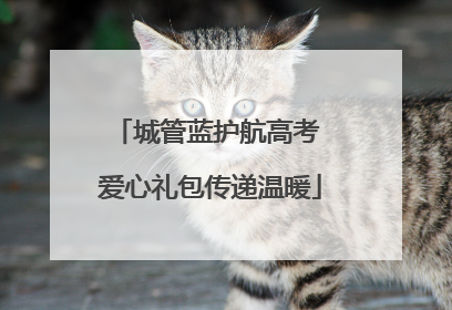 城管蓝护航高考 爱心礼包传递温暖