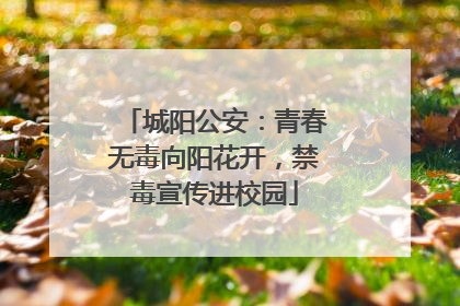 城阳公安：青春无毒向阳花开，禁毒宣传进校园