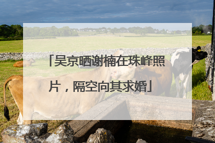 吴京晒谢楠在珠峰照片，隔空向其求婚
