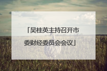 吴桂英主持召开市委财经委员会会议
