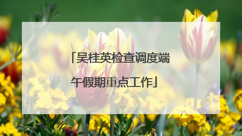 吴桂英检查调度端午假期重点工作