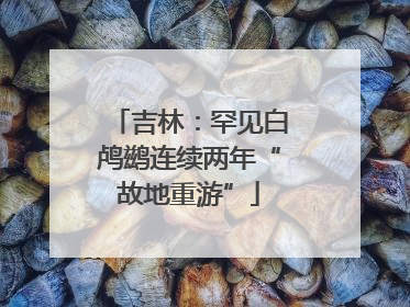 吉林：罕见白鸬鹚连续两年“故地重游”