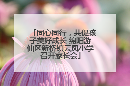同心同行，共促孩子美好成长 绵阳游仙区新桥镇云凤小学召开家长会