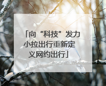 向“科技”发力 小拉出行重新定义网约出行