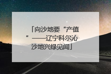 向沙地要“产值”——辽宁科尔沁沙地兴绿见闻