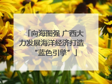向海图强 广西大力发展海洋经济打造“蓝色引擎”