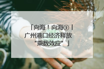 向海！向海③丨广州港口经济释放“乘数效应”