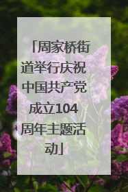 周家桥街道举行庆祝中国共产党成立104周年主题活动