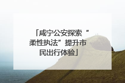 咸宁公安探索“柔性执法”提升市民出行体验