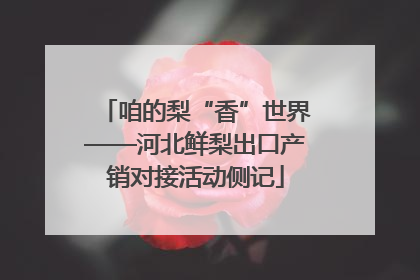 咱的梨“香”世界——河北鲜梨出口产销对接活动侧记