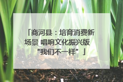 商河县：培育消费新场景 唱响文化振兴版“我们不一样”