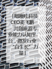 嗯噢哇科技CEO窦飞鹏：共创旅游专业能力认知平台，激发行业“自生长”力量
