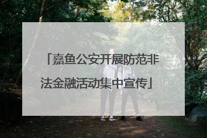 嘉鱼公安开展防范非法金融活动集中宣传