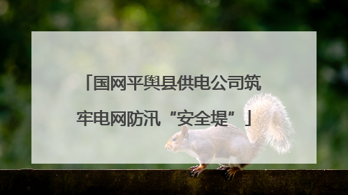 国网平舆县供电公司筑牢电网防汛“安全堤”