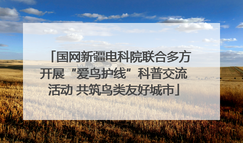 国网新疆电科院联合多方开展“爱鸟护线”科普交流活动 共筑鸟类友好城市